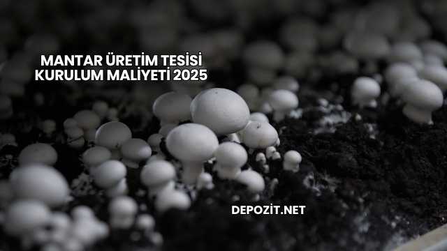 Mantar Üretim Tesisi Kurulum Maliyeti 2025