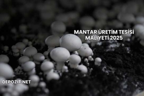 Mantar Üretim Tesisi Maliyeti 2025