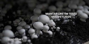 Mantar Üretim Tesisi Maliyeti 2025