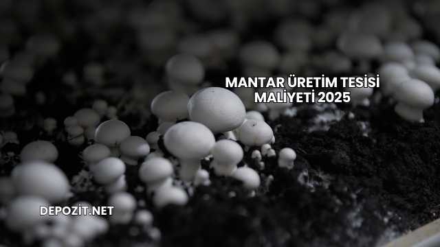 Mantar Üretim Tesisi Maliyeti 2025
