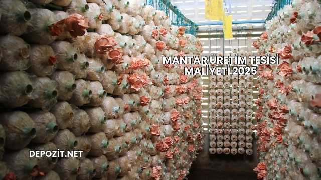 Mantar Üretim Tesisi Maliyeti 2025