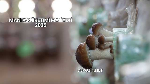 Mantar Üretimi Maliyeti 2025