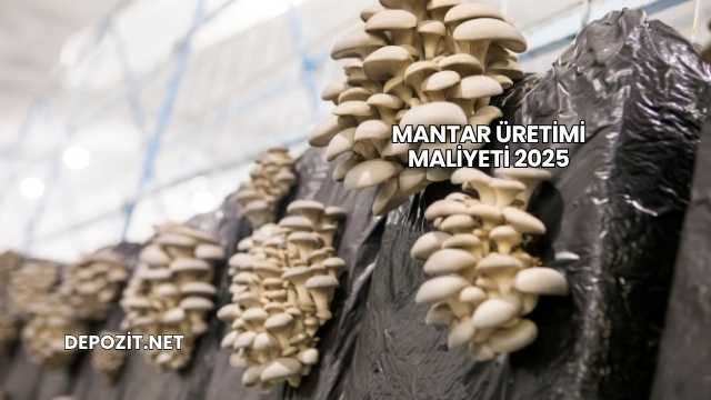 Mantar Üretimi Maliyeti 2025