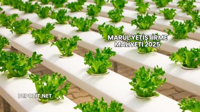 Marul Yetiştirme Maliyeti 2025