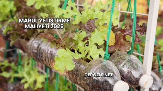 Marul Yetiştirme Maliyeti 2025