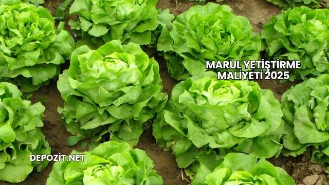 Marul Yetiştirme Maliyeti 2025