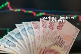 Mazotun Türkiye'ye Maliyeti