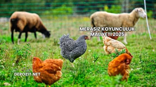 Merasız Koyunculuk Maliyeti 2025