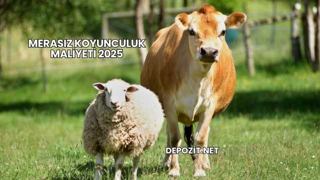 Merasız Koyunculuk Maliyeti 2025