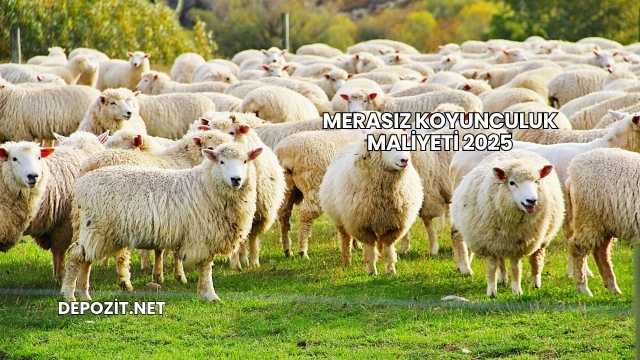 Merasız Koyunculuk Maliyeti 2025