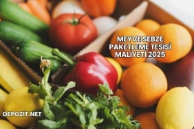 Meyve Sebze Paketleme Tesisi Maliyeti 2025