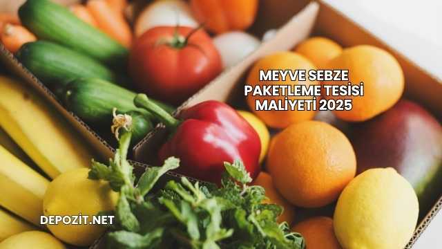 Meyve Sebze Paketleme Tesisi Maliyeti 2025