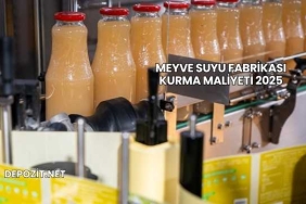 Meyve Suyu Fabrikası Kurma Maliyeti 2025