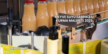 Meyve Suyu Fabrikası Kurma Maliyeti 2025