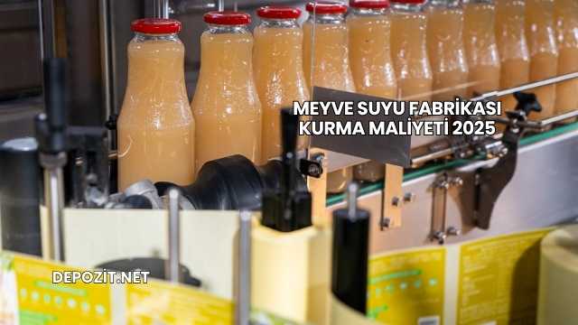 Meyve Suyu Fabrikası Kurma Maliyeti 2025
