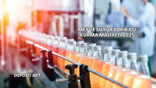 Meyve Suyu Fabrikası Kurma Maliyeti 2025