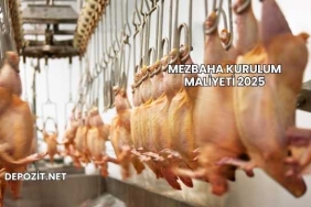 Mezbaha Kurulum Maliyeti 2025