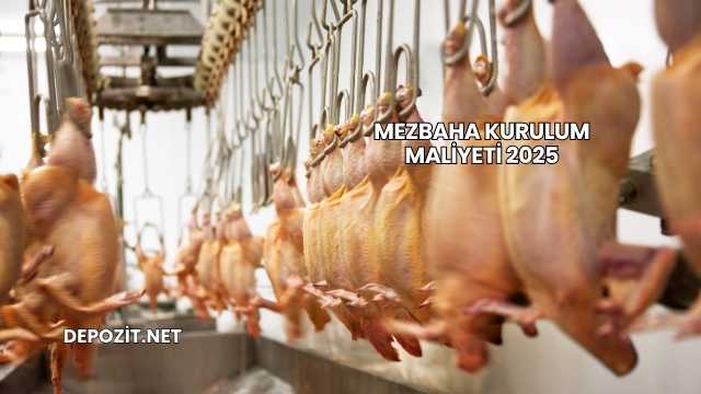 Mezbaha Kurulum Maliyeti 2025
