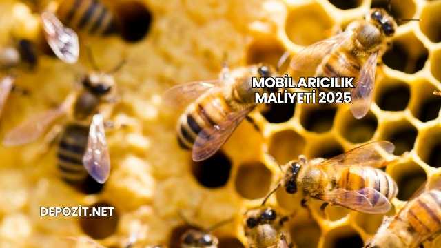 Mobil Arıcılık Maliyeti 2025