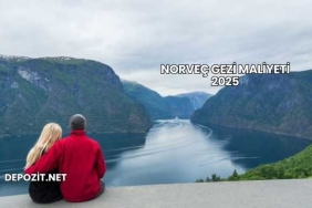 Norveç Gezi Maliyeti 2025