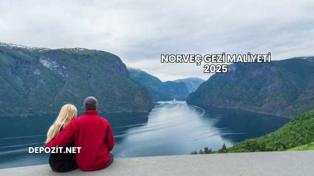Norveç Gezi Maliyeti 2025