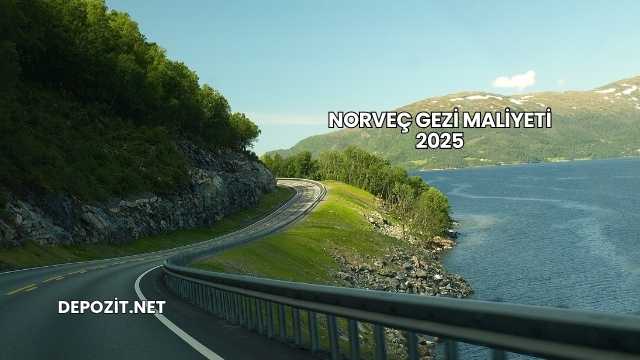 Norveç Gezi Maliyeti 2025