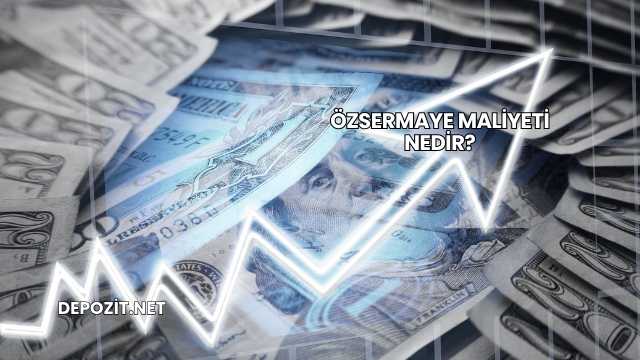 Özsermaye Maliyeti Nedir?