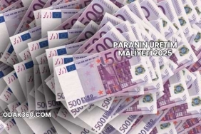 Paranın Üretim Maliyeti 2025