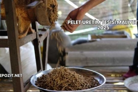 Pelet Üretim Tesisi Maliyeti 2025