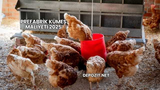 Prefabrik Kümes Maliyeti 2025