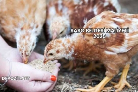 SASO Belgesi Maliyeti 2025