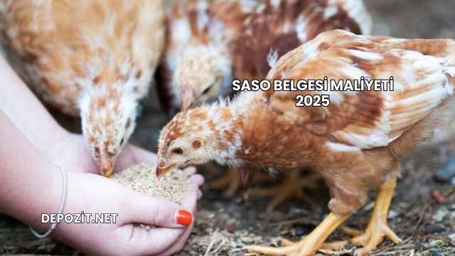 SASO Belgesi Maliyeti 2025
