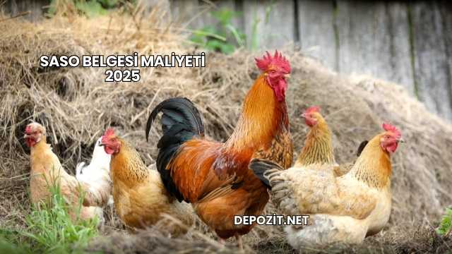 SASO Belgesi Maliyeti 2025