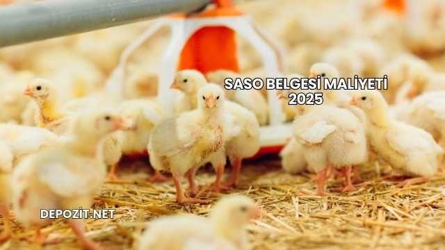 SASO Belgesi Maliyeti 2025