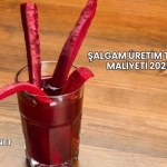 Şalgam Üretim Tesisi Maliyeti 2025