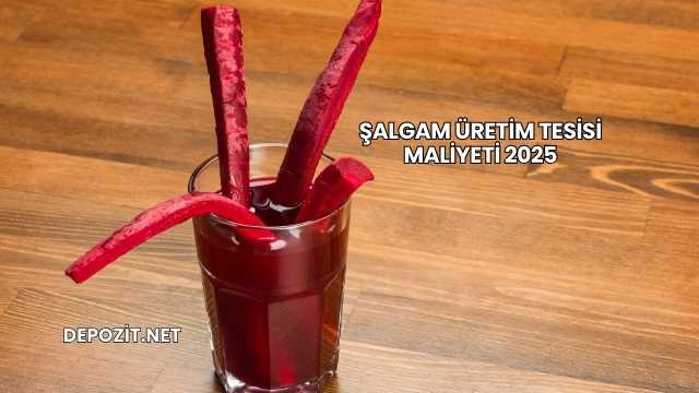 Şalgam Üretim Tesisi Maliyeti 2025