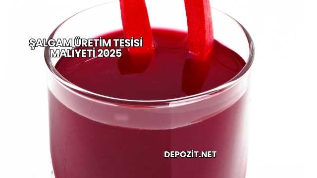 Şalgam Üretim Tesisi Maliyeti 2025