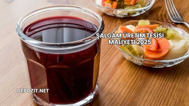 Şalgam Üretim Tesisi Maliyeti 2025