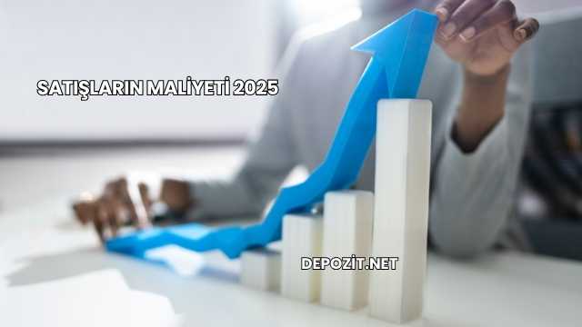 Satışların Maliyeti 2025