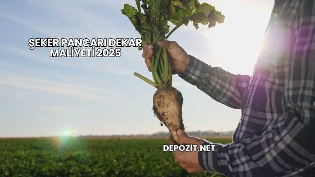 Şeker Pancarı Dekar Maliyeti 2025