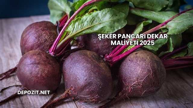 Şeker Pancarı Dekar Maliyeti 2025