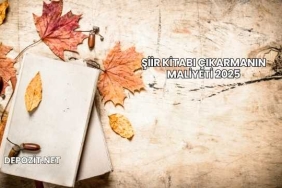 Şiir Kitabı Çıkarmanın Maliyeti 2025