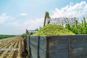 Silajlık Mısır Ekim Maliyeti 2025