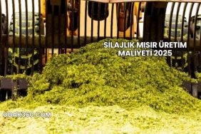 Silajlık Mısır Üretim Maliyeti 2025