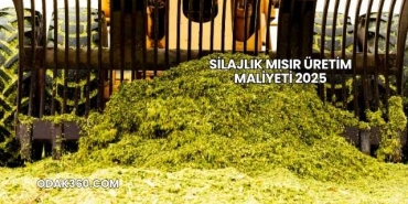 Silajlık Mısır Üretim Maliyeti 2025