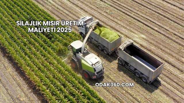 Silajlık Mısır Üretim Maliyeti 2025