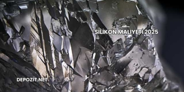 Silikon Maliyeti 2025