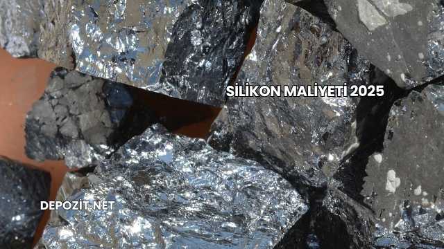 Silikon Maliyeti 2025