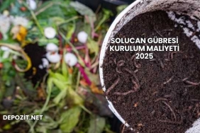Solucan Gübresi Kurulum Maliyeti 2025