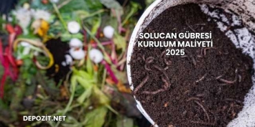 Solucan Gübresi Kurulum Maliyeti 2025